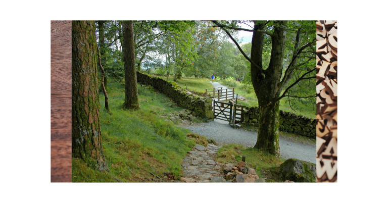 Best English Tuition in Singapore for Academic Excellence and Exam Success